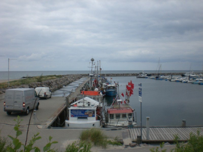 cimg0037800x600.jpg