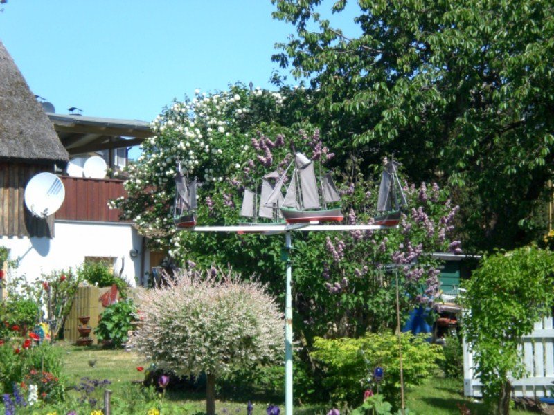 cimg0052800x600.jpg