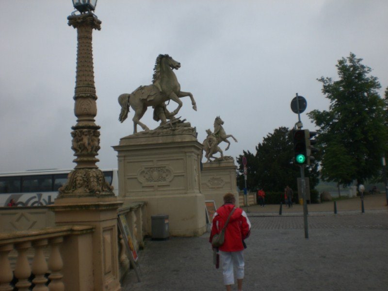 cimg0154800x600.jpg