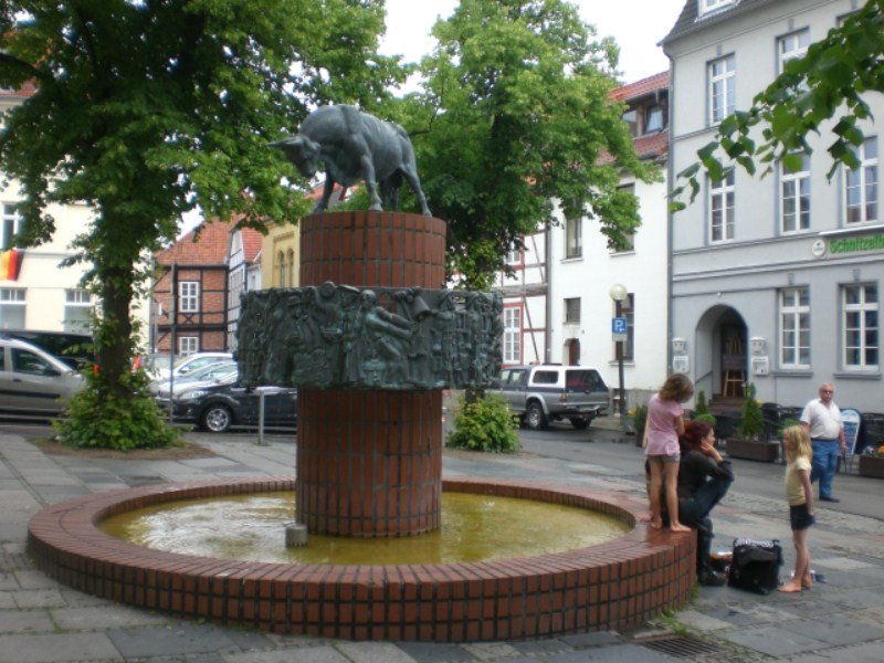 cimg0184800x600.jpg